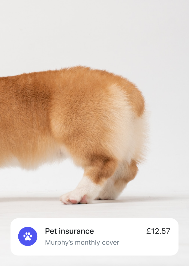 revolut deposit insurance uk