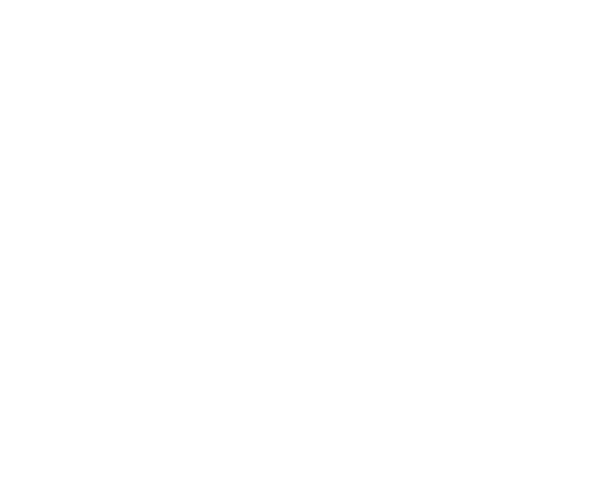 Dott