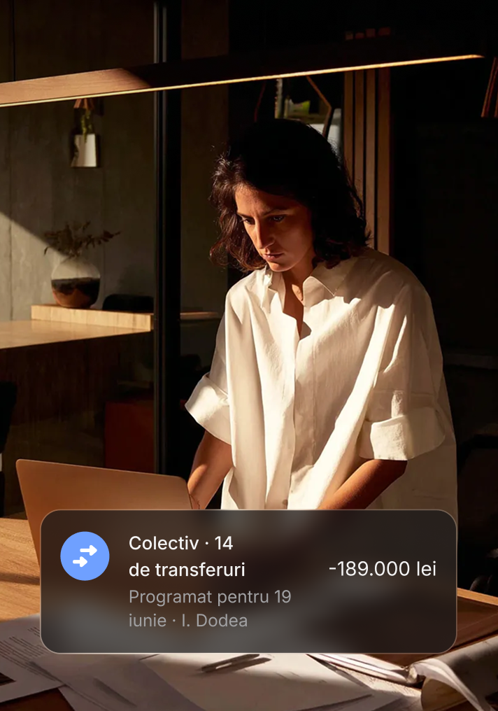 Efectuează plăți la scară largă