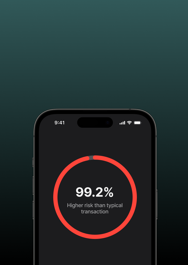 If a payment is high-risk, we’ll alert you
