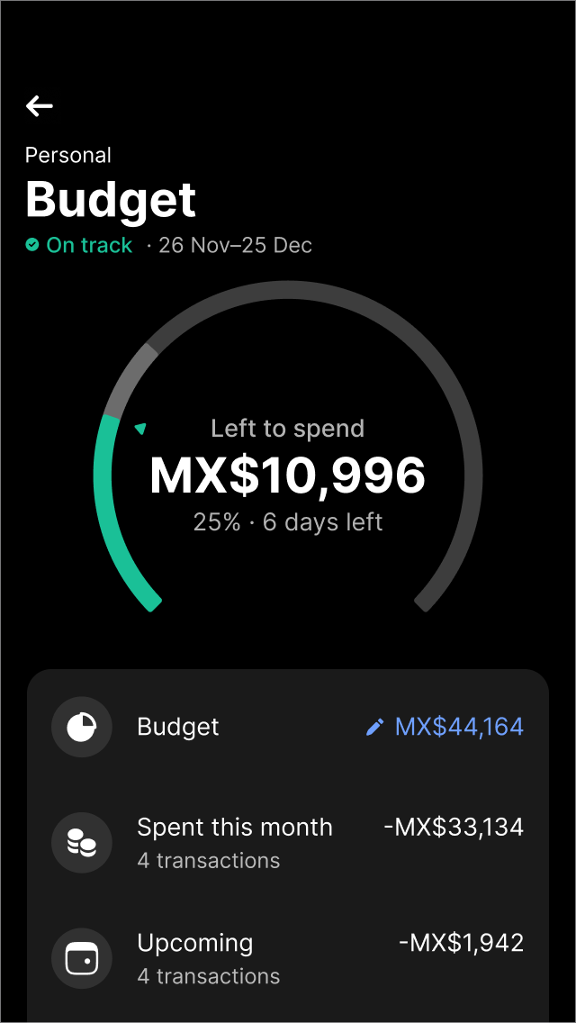Monitor your money