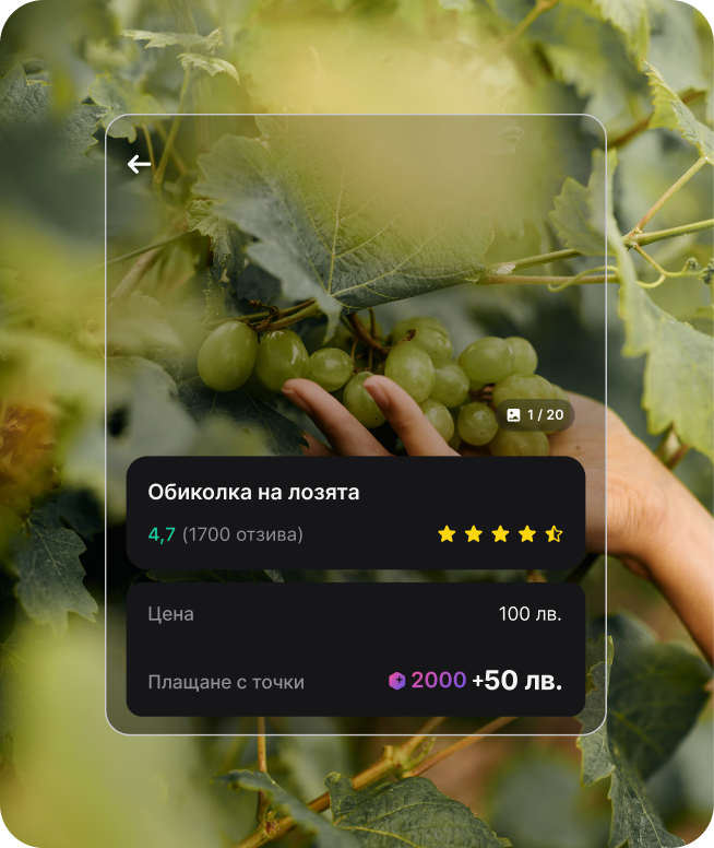 Ускорени награди с RevPoints